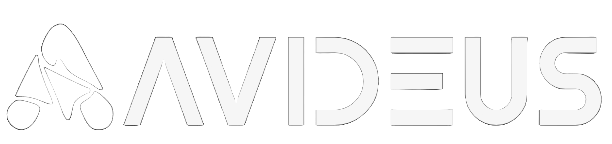 Avideus Web Design
